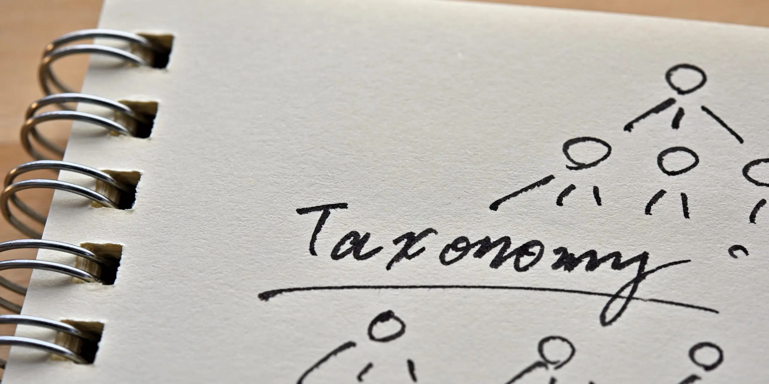 Taxonomy diagram in a notebook.