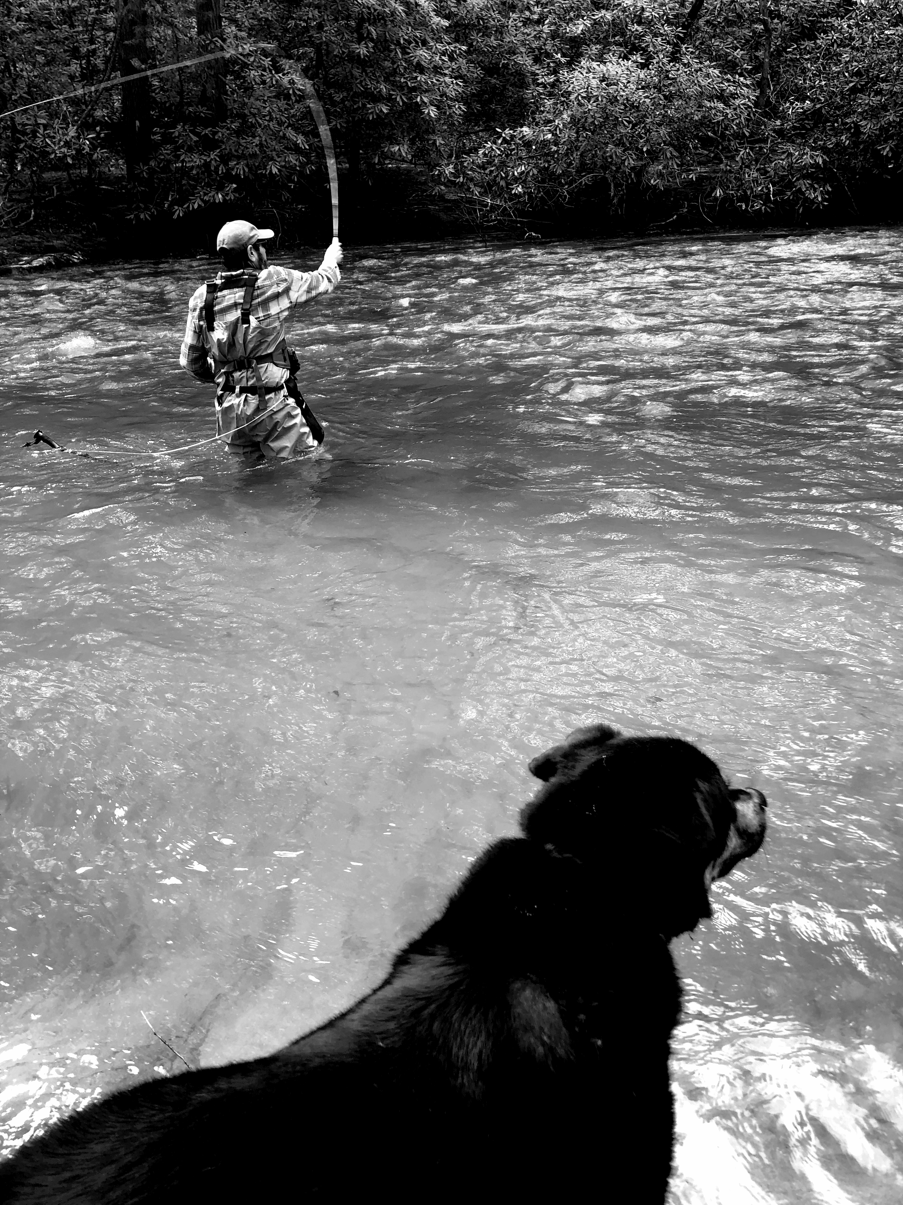 Your Host on Fightintown Creek and Bhindi