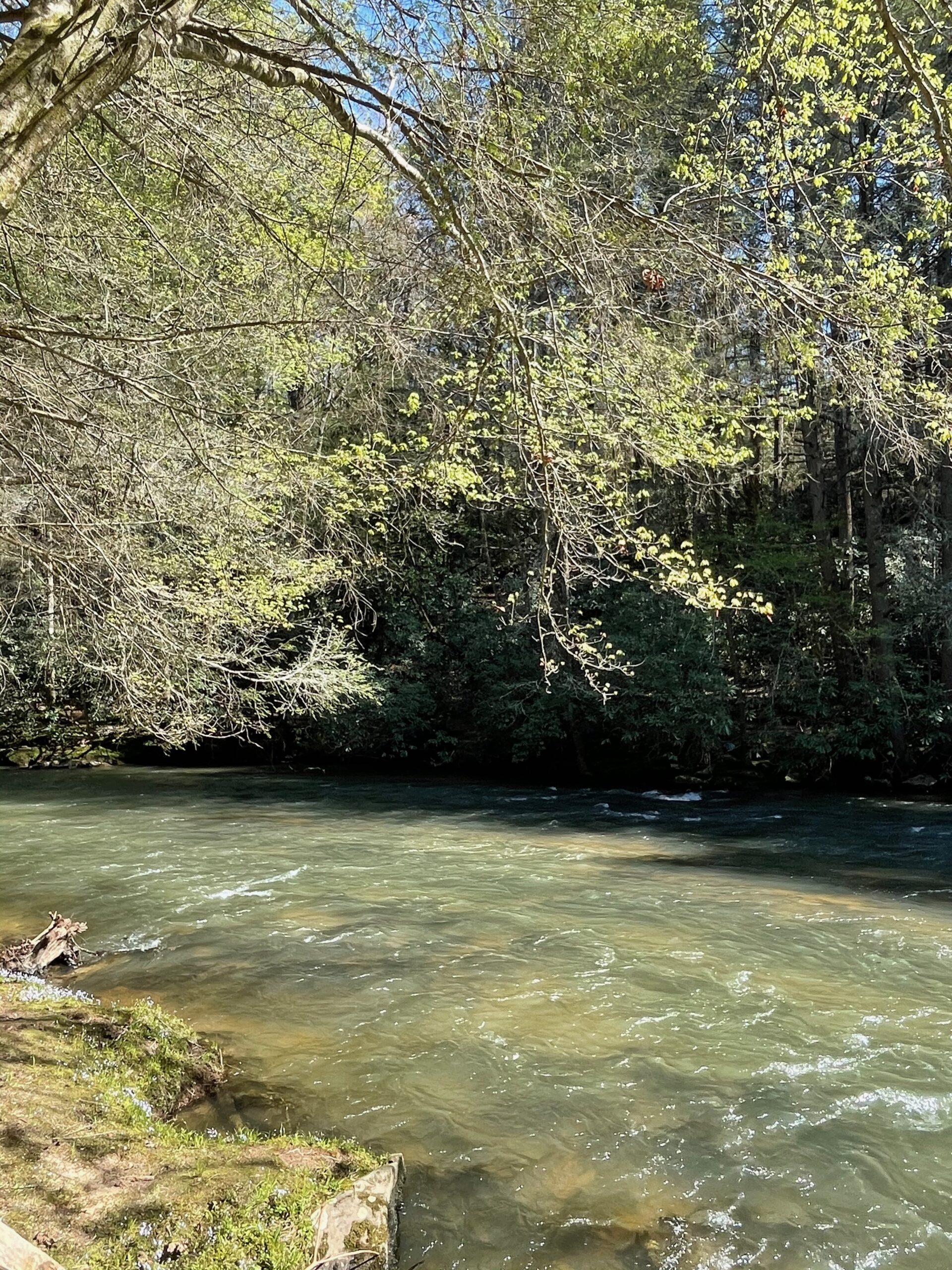 Downstream. Fightingtown Creek