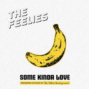 The Feelies – Some Kinda Love